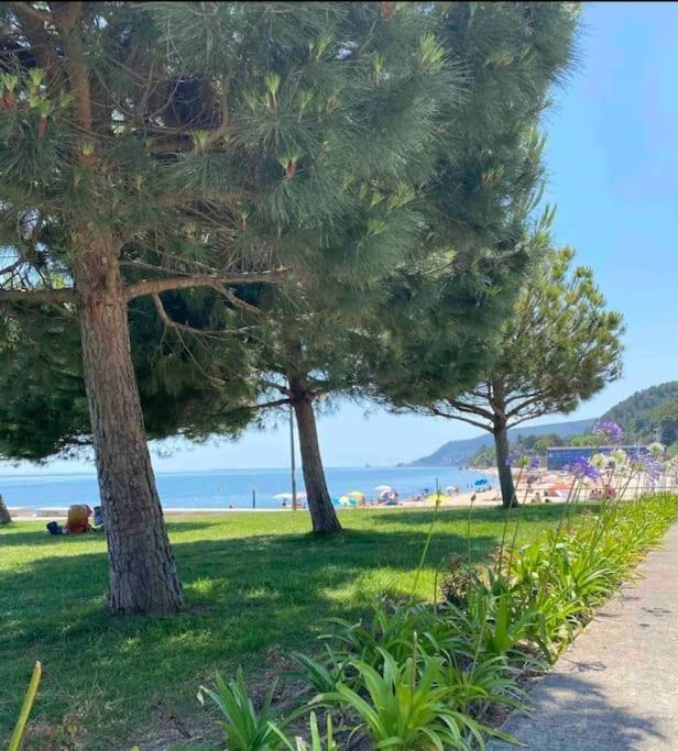 Setubal Rp House Apartamento Perto Do Mar E Comercio Na Luisa Todi エクステリア 写真